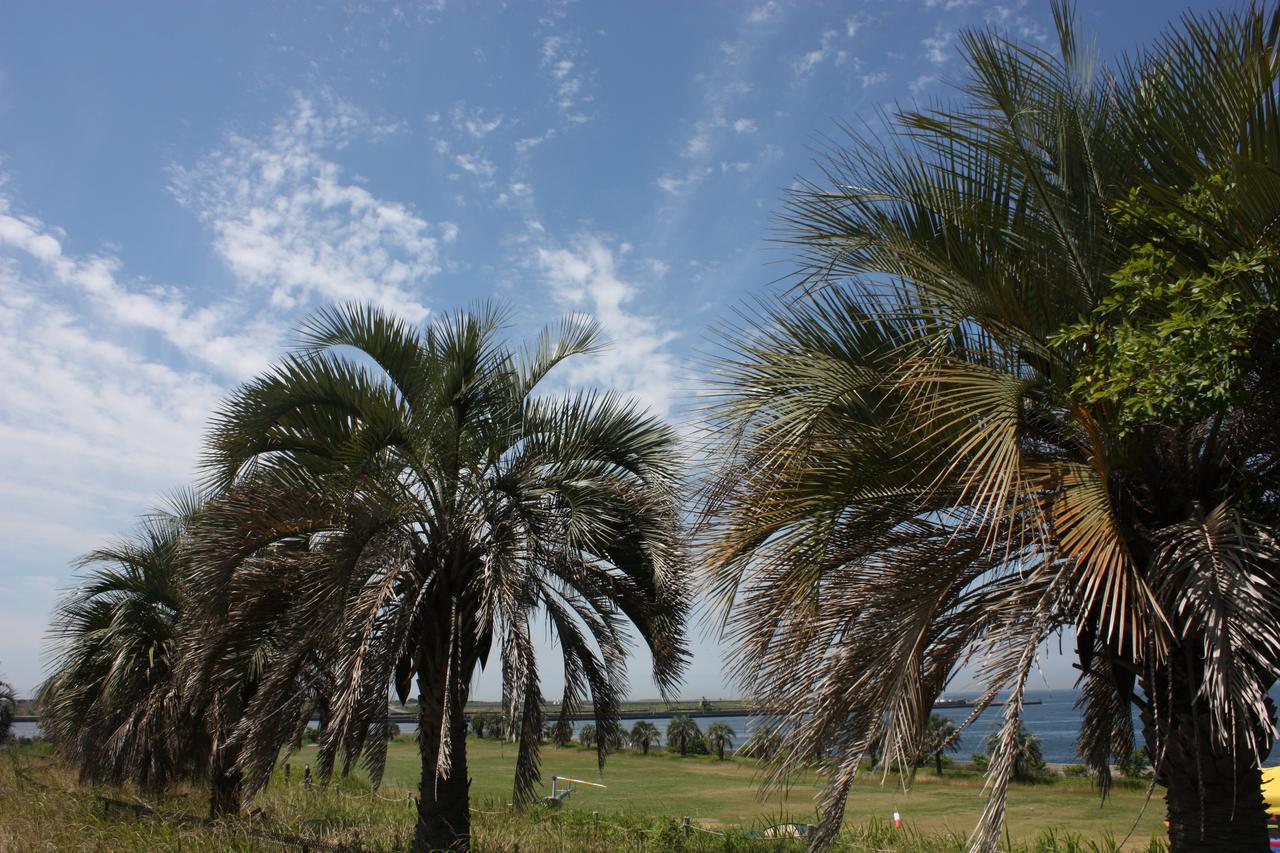 Palm Garden Maishima By Wbf Osaka Buitenkant foto